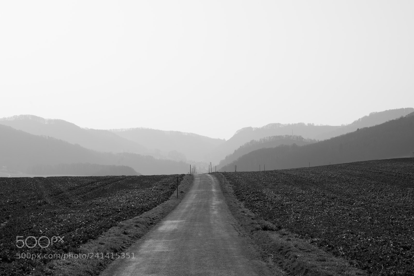 Nikon D800 sample photo. Path photography