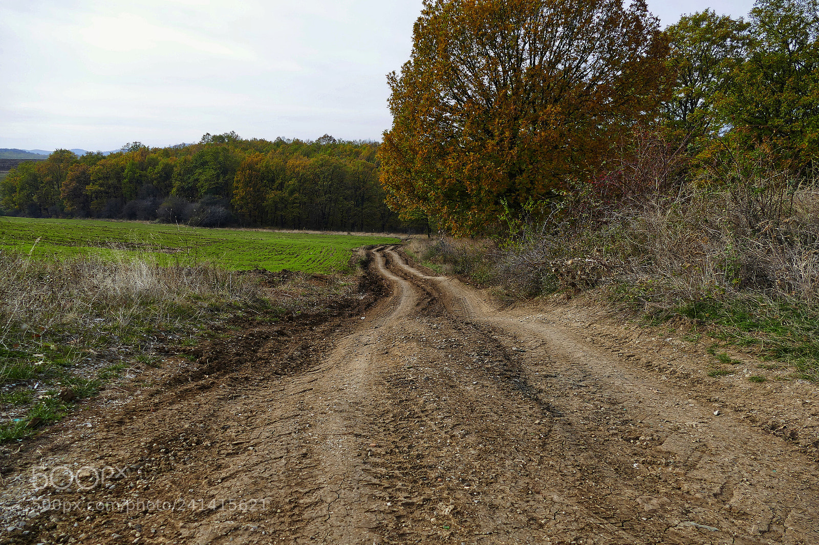 Panasonic Lumix DMC-FZ1000 sample photo. Off-road photography