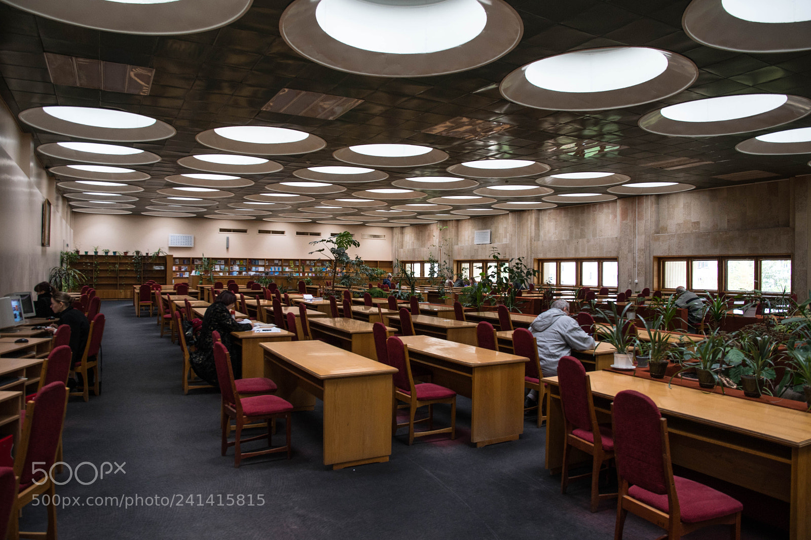 Nikon D500 sample photo. The vernadsky library. photography