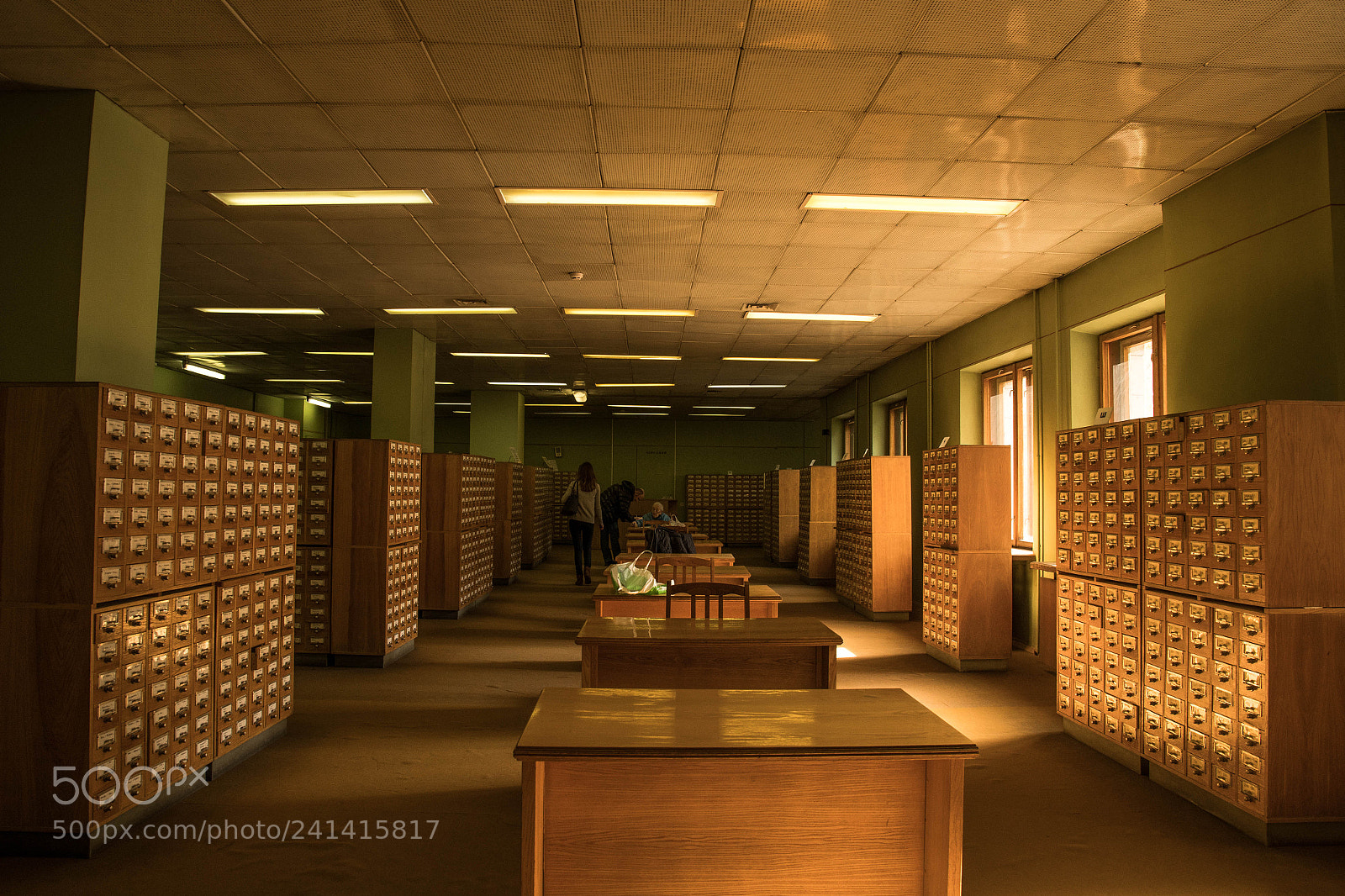 Nikon D500 sample photo. The vernadsky library. photography