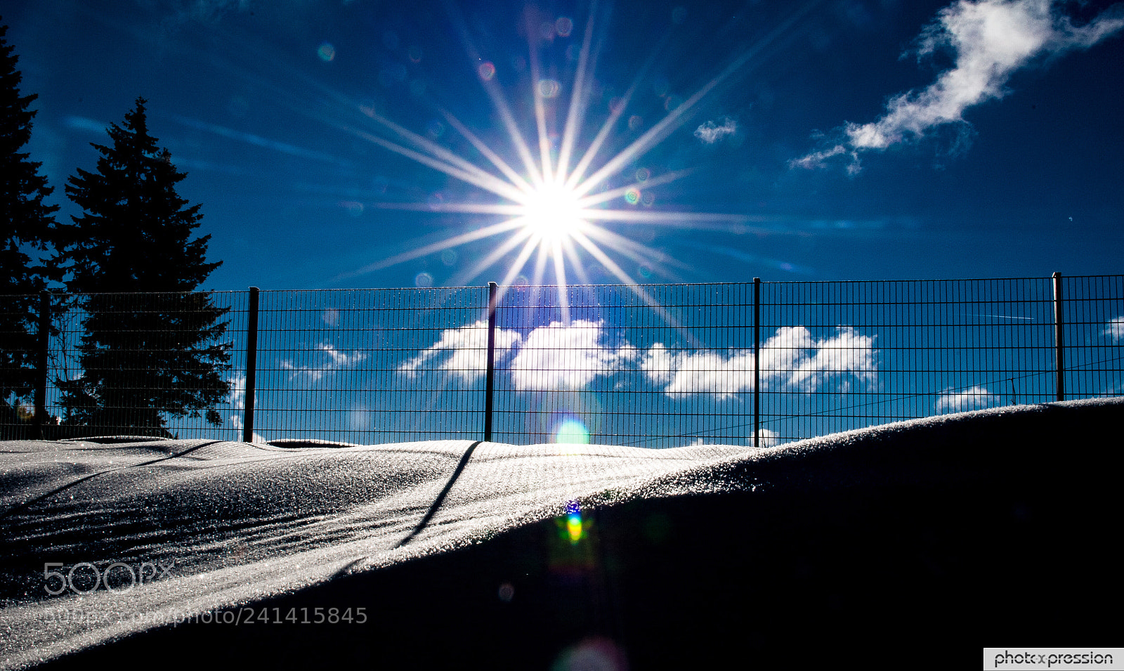 Nikon D300 sample photo. Cold sun photography