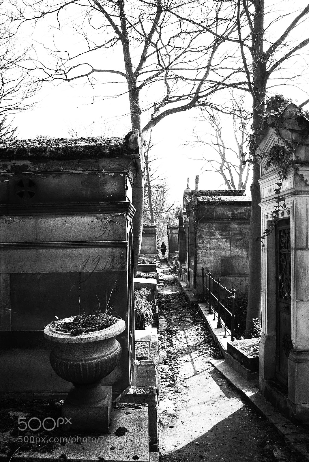 Nikon D3000 sample photo. Cemetery photography