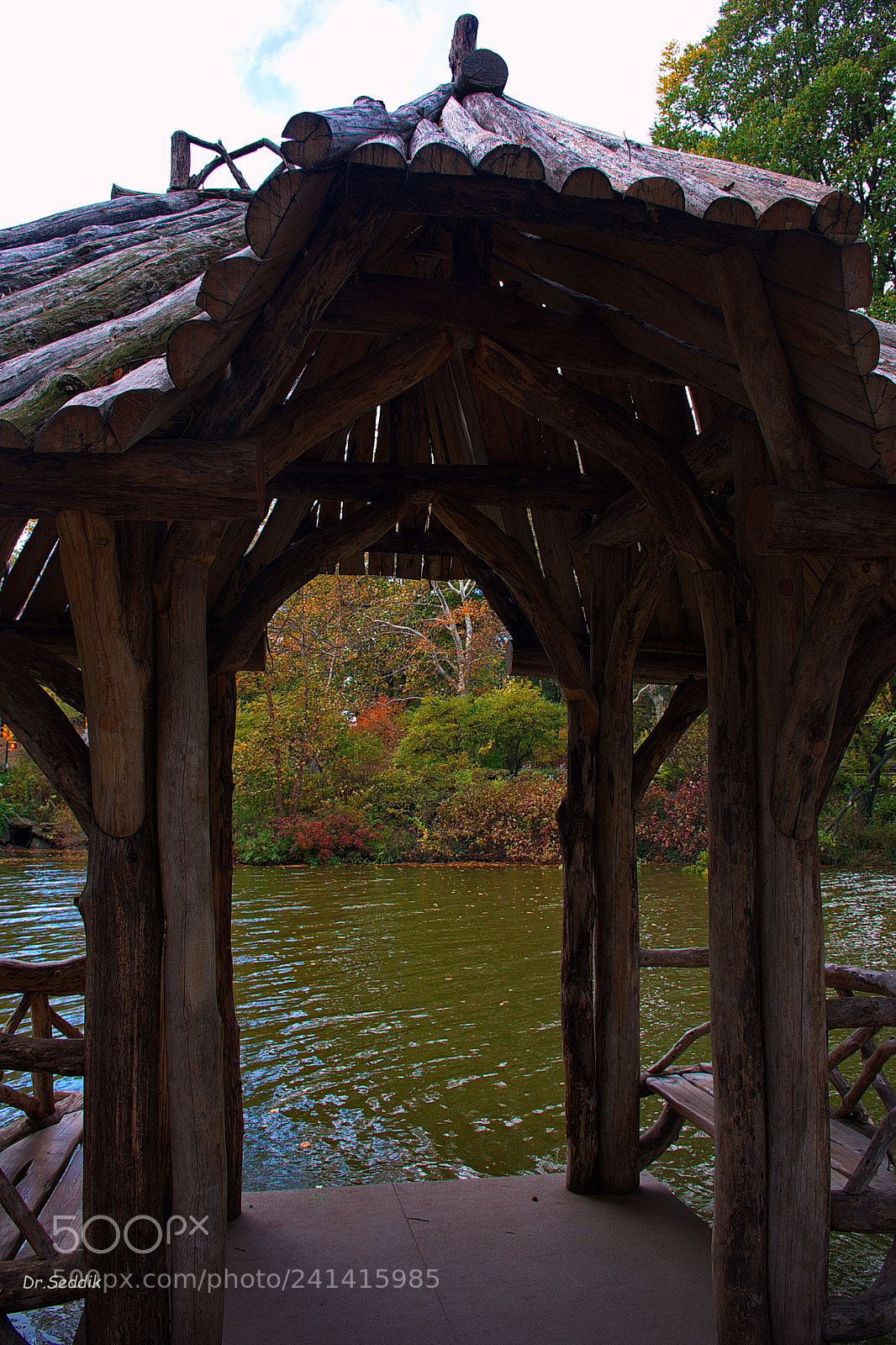 Nikon D7200 sample photo. Central park, nyc 55 photography