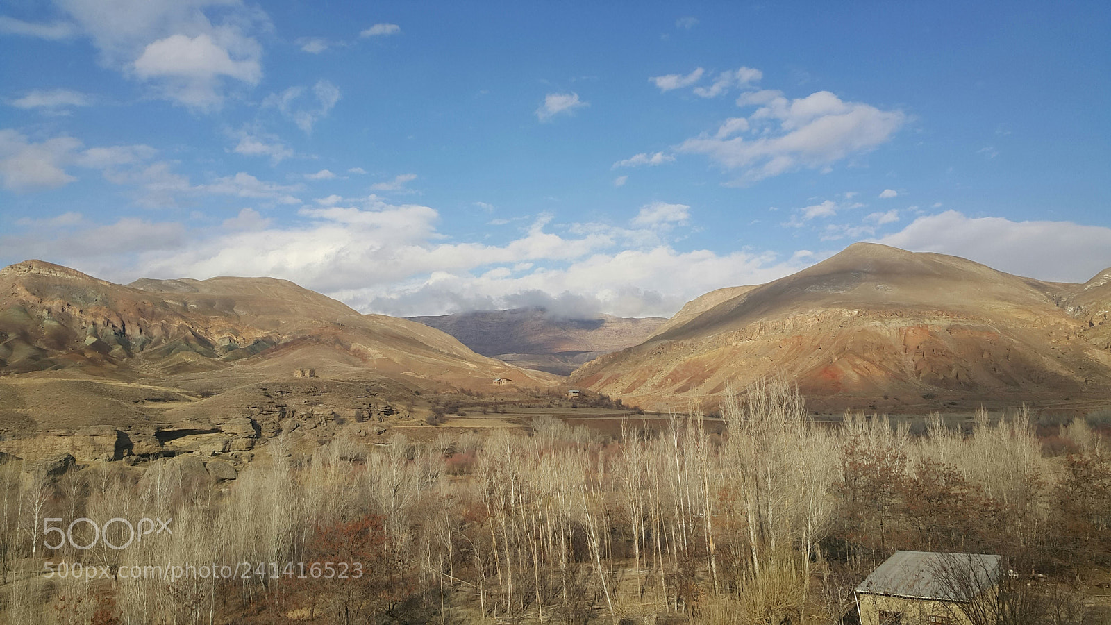 Samsung Galaxy Note4 sample photo. Untitled photography