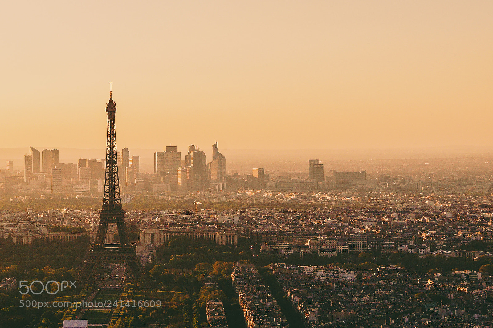 Sony SLT-A58 sample photo. Skyline paris photography