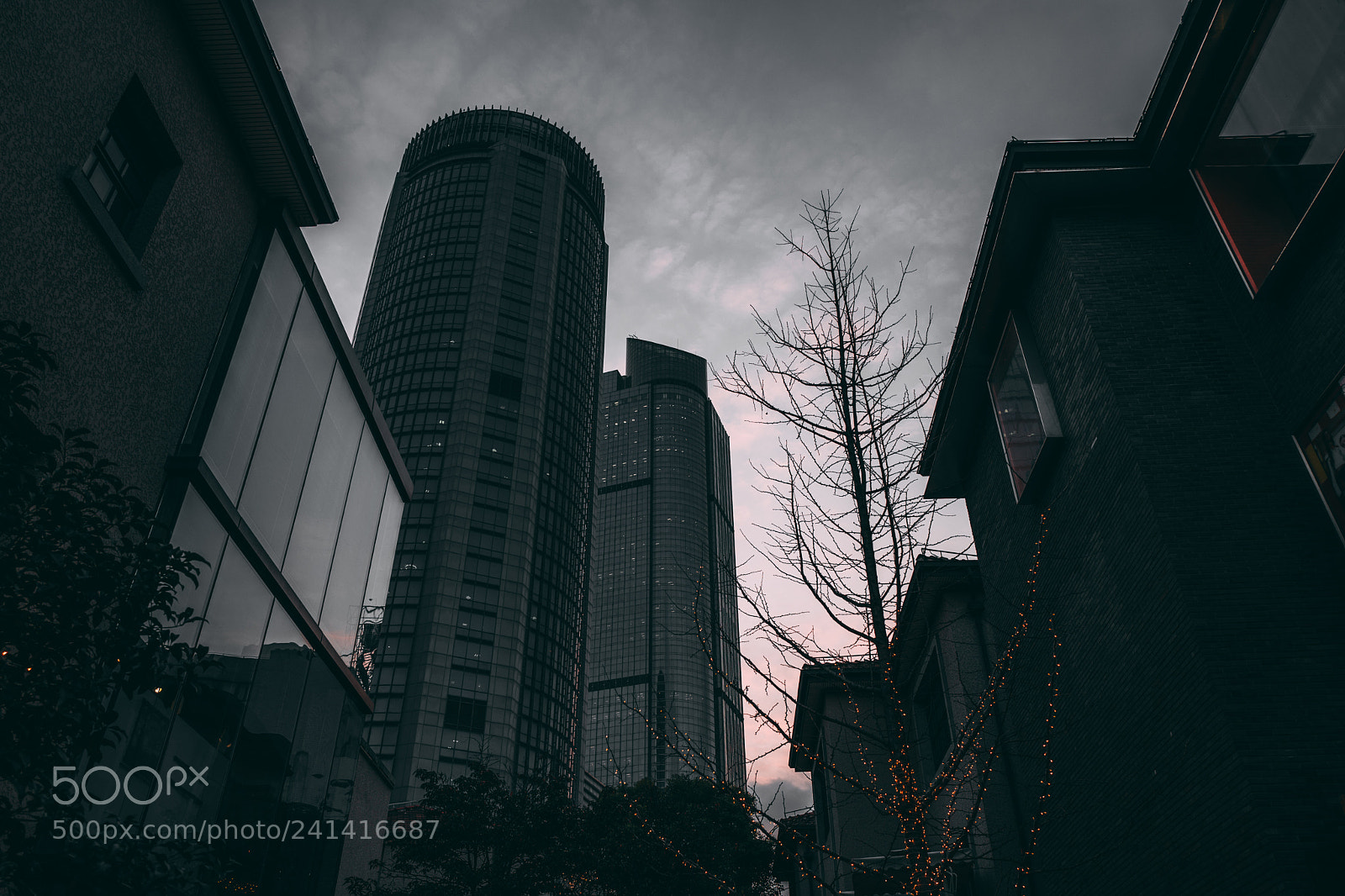 Leica Q (Typ 116) sample photo. Untitled photography