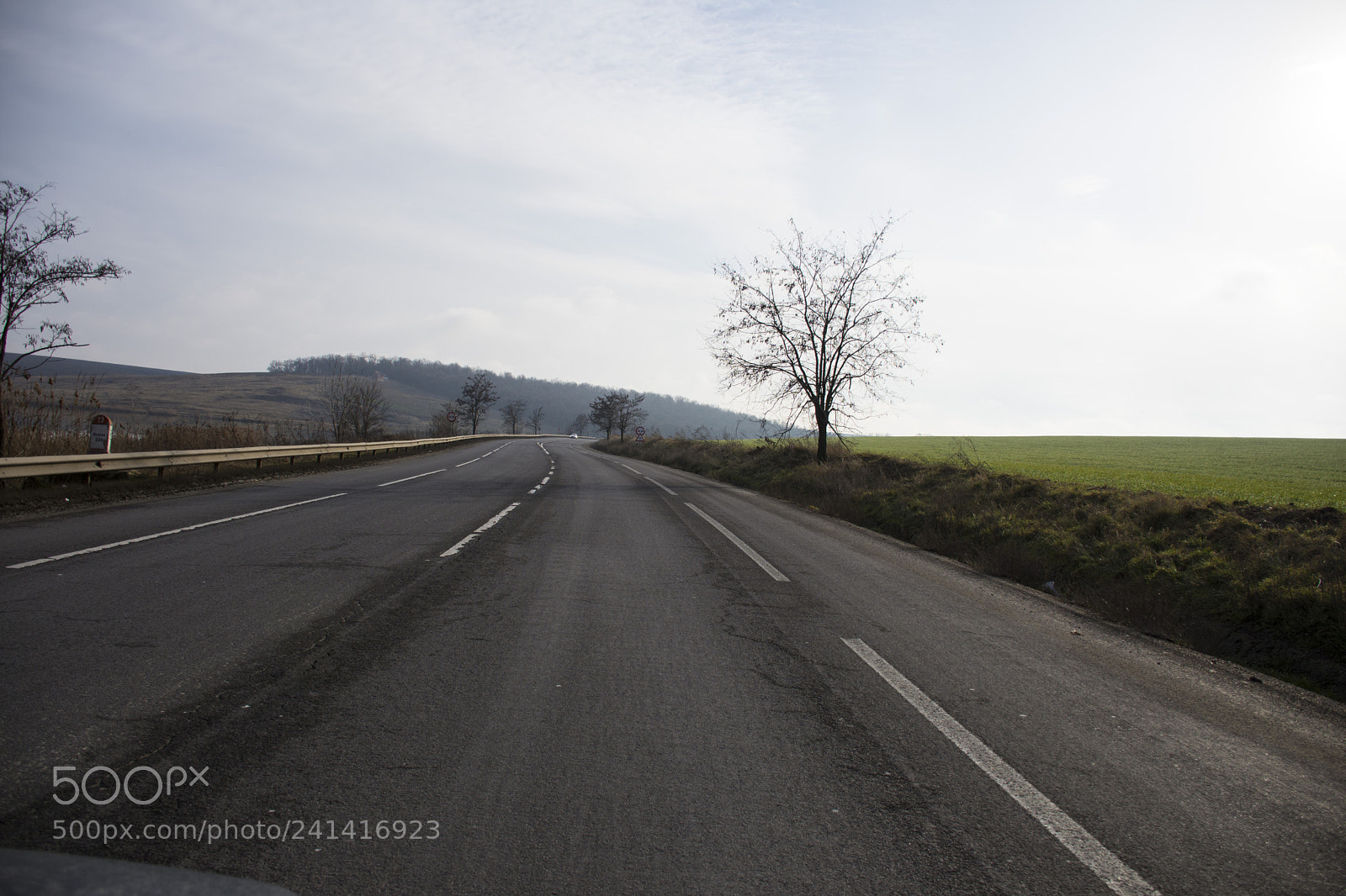 Nikon D7200 sample photo. Speed is freedom of photography