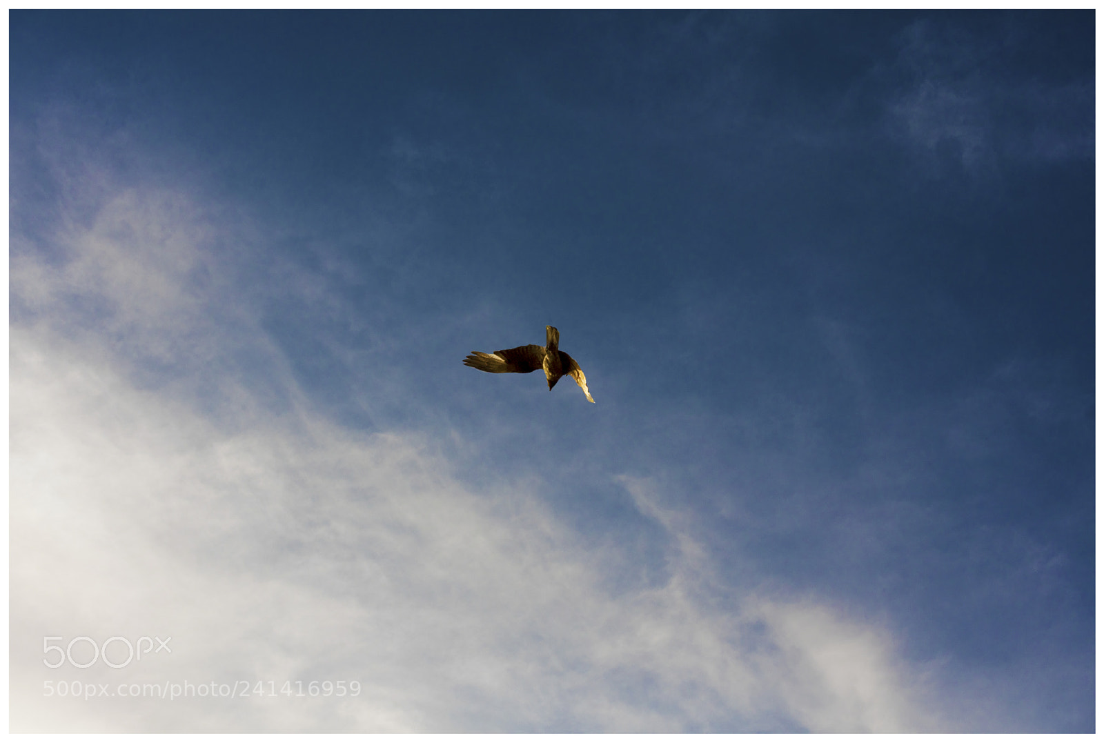 Nikon D810 sample photo. M ｉｎｉｍａｌ photography