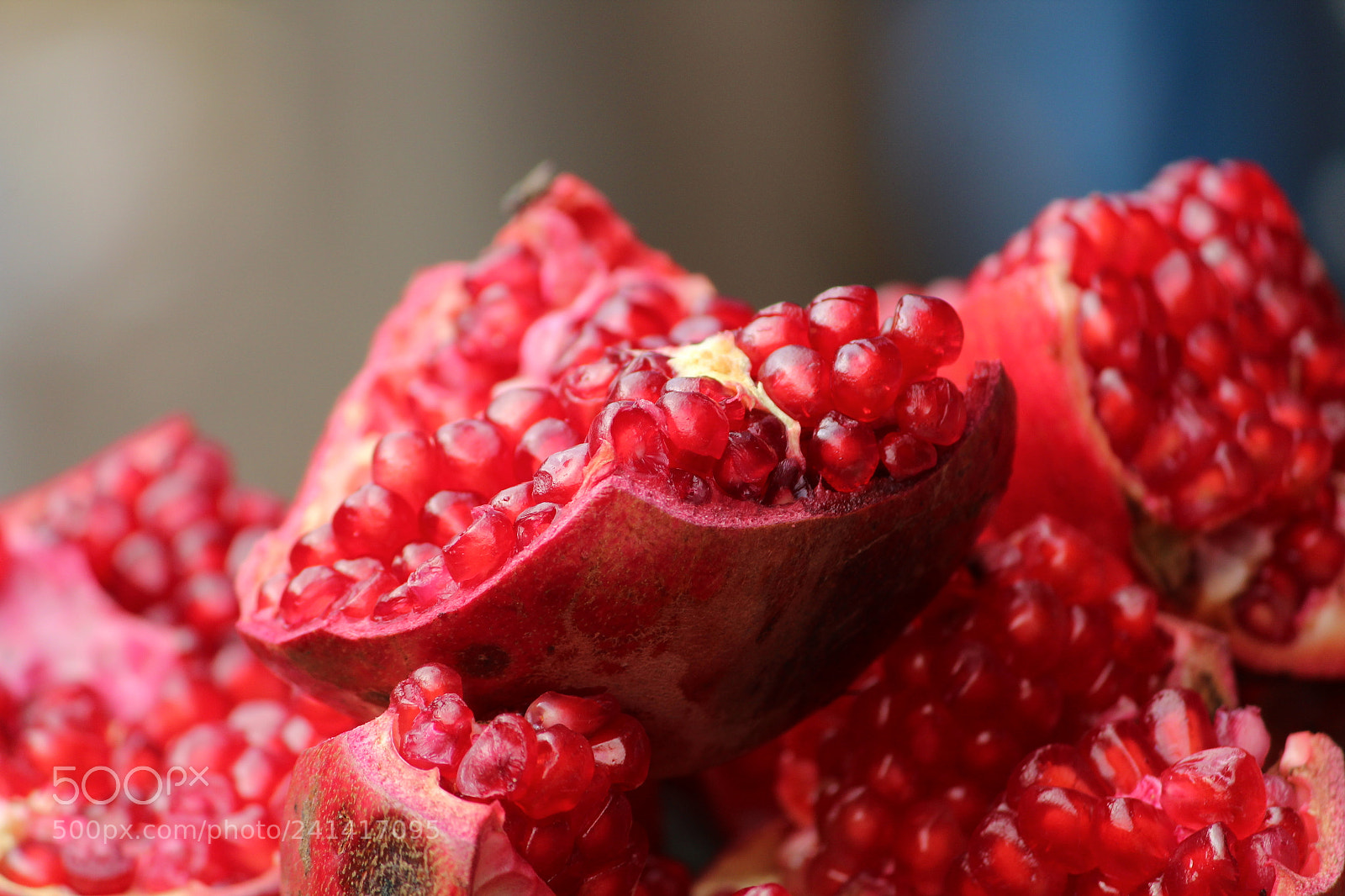 Canon EF-S 55-250mm F4-5.6 IS II sample photo. Img photography