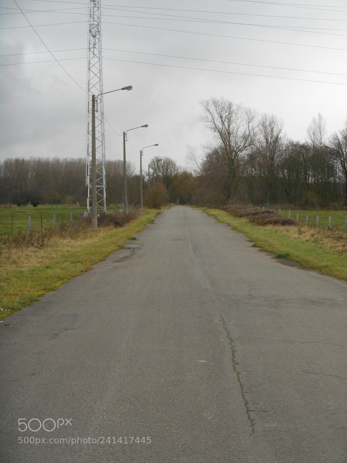 Nikon Coolpix S3500 sample photo. Road photography