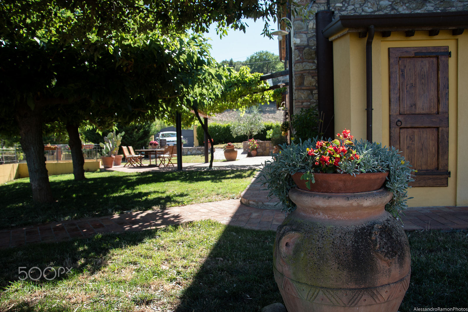 Nikon D5500 sample photo. Perfect garden photography