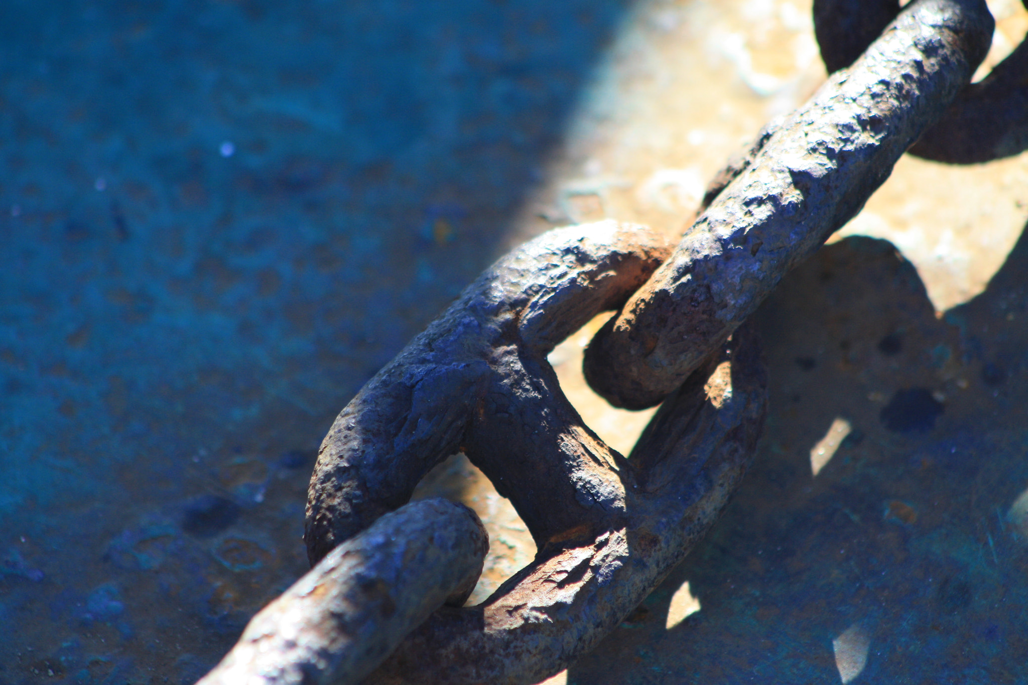 EF75-300mm f/4-5.6 sample photo. Img photography