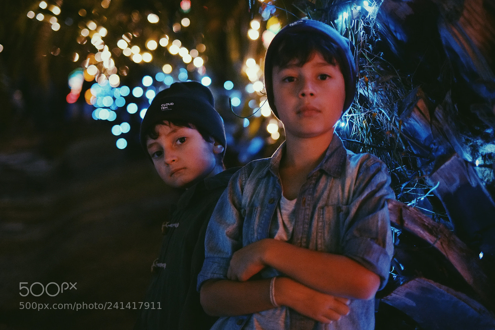Fujifilm X-E1 sample photo. Last days of christmas photography