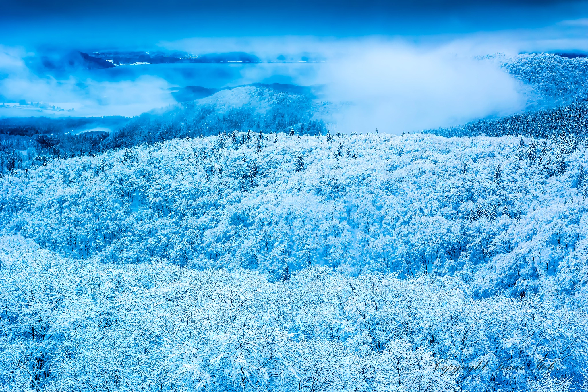 Nikon 1 V3 sample photo. Freezing forest photography