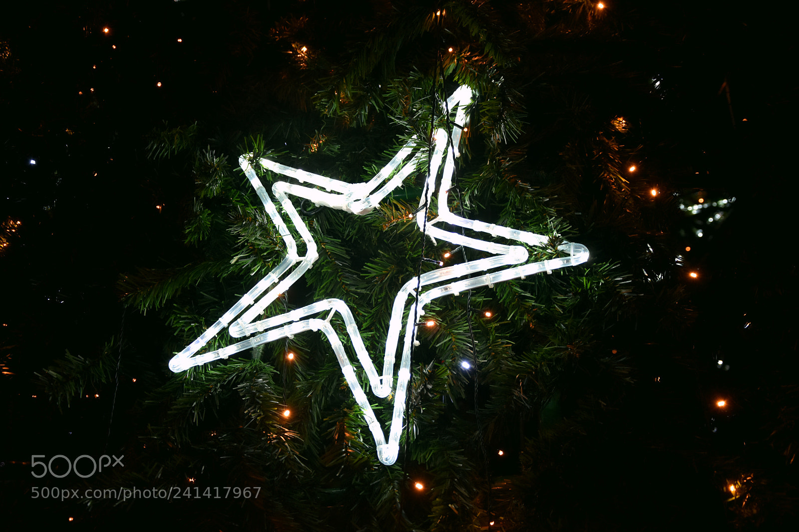 Nikon D7200 sample photo. Happy new year photography