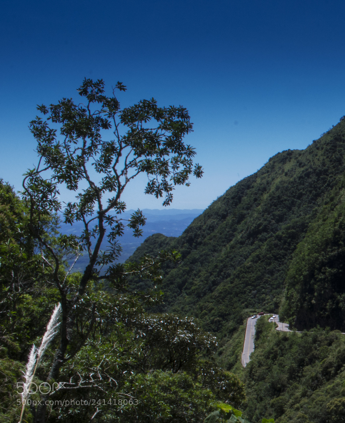 Nikon D3100 sample photo. Landscapes of south of photography