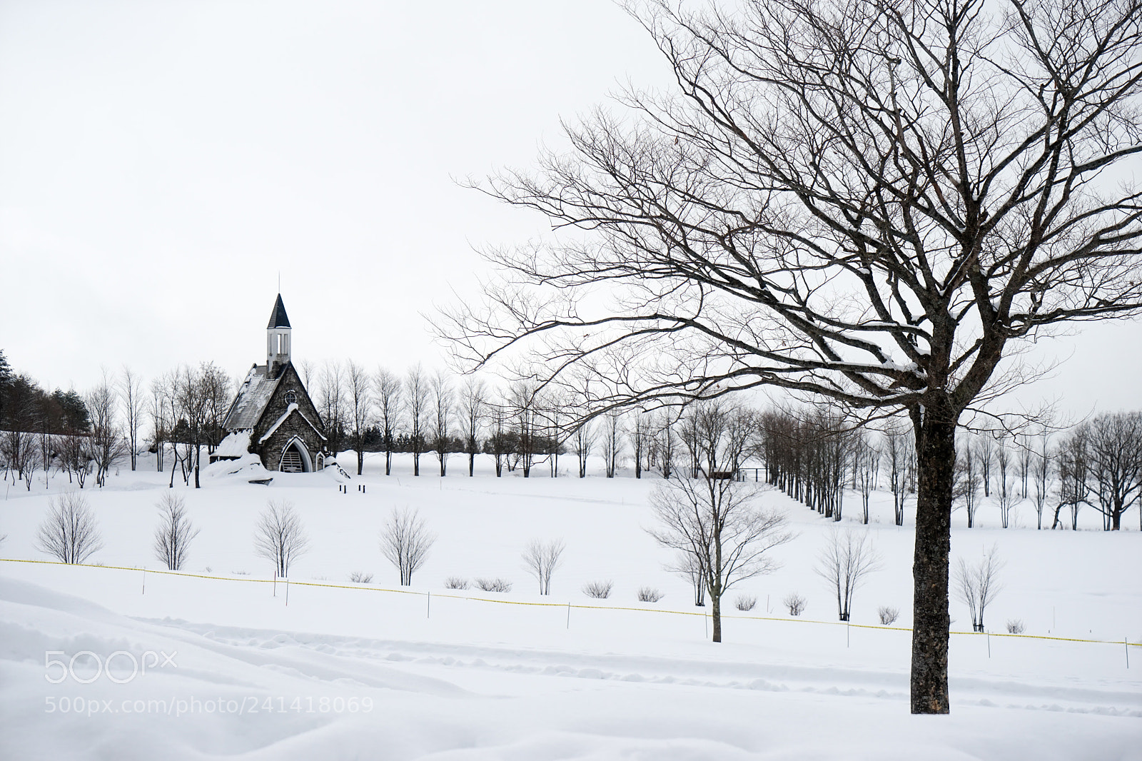 Sony a7 sample photo. Scenery of winter photography