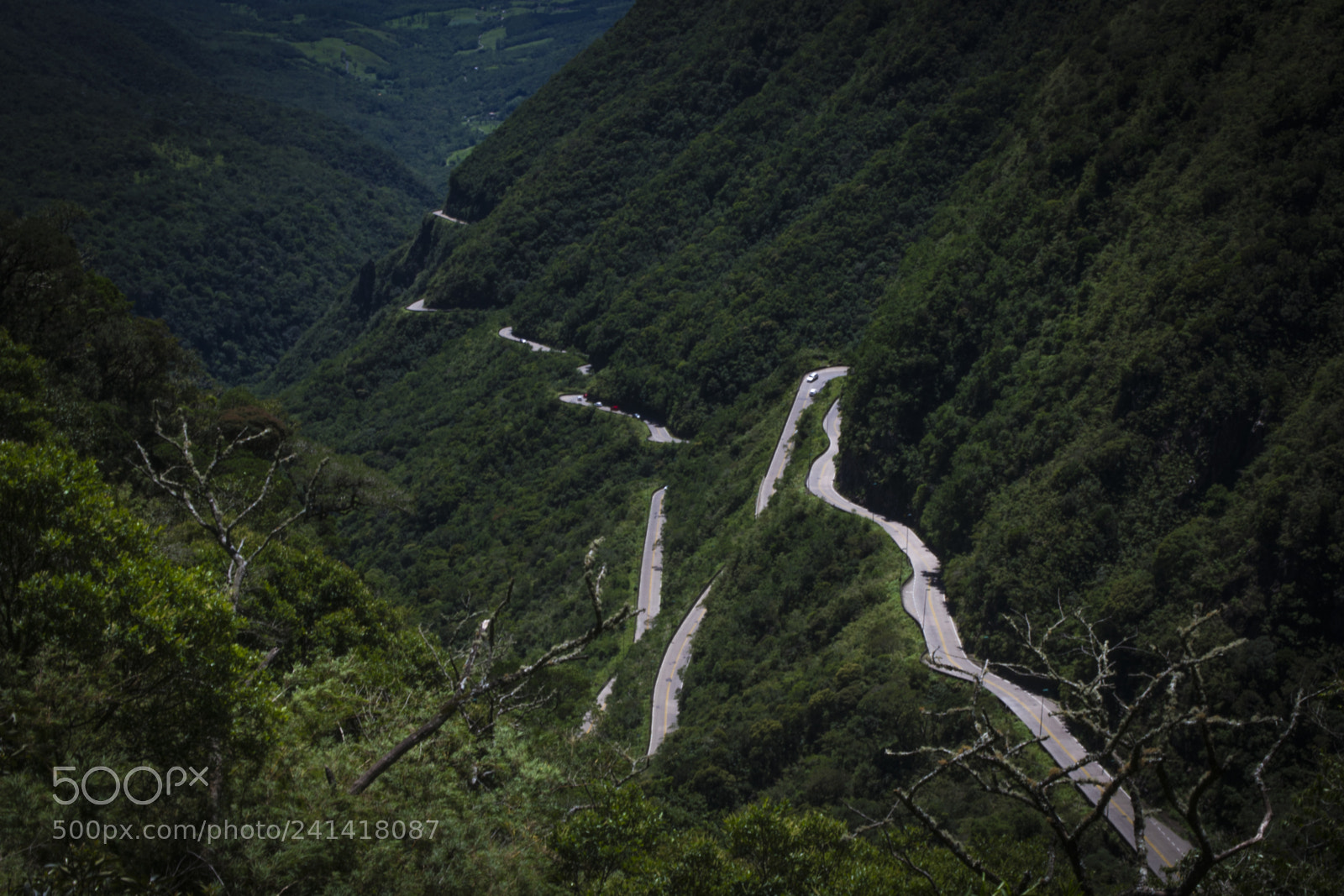 Nikon D3100 sample photo. Landscapes of south of photography