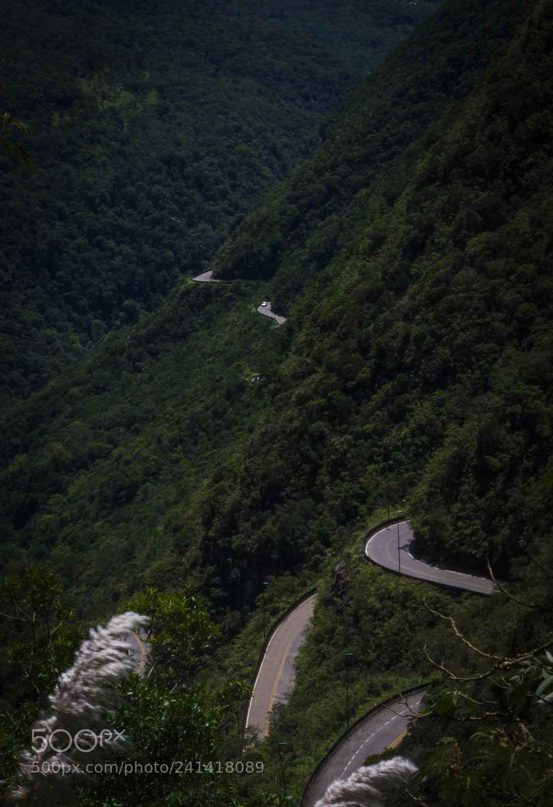 Nikon D3100 sample photo. Landscapes of south of photography