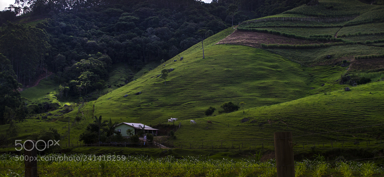 Nikon D3100 sample photo. Landscapes of south of photography