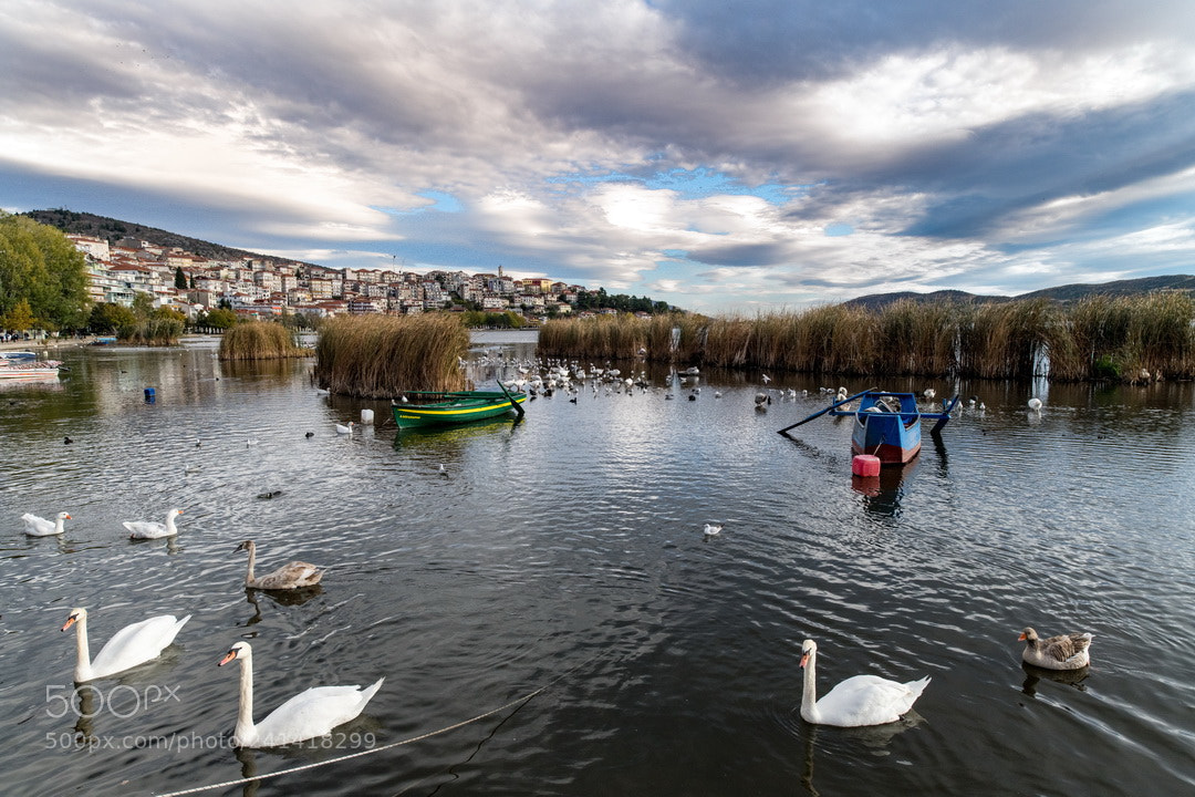 Nikon D850 sample photo. Lake kastoria photography