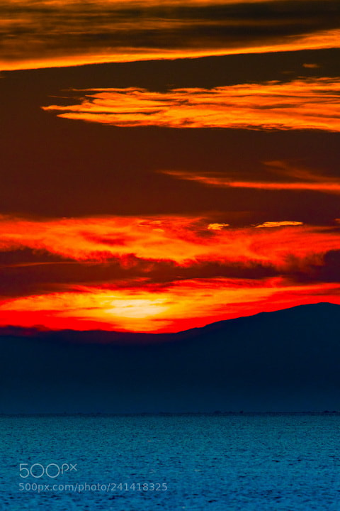 Nikon D500 sample photo. Another sunset photography