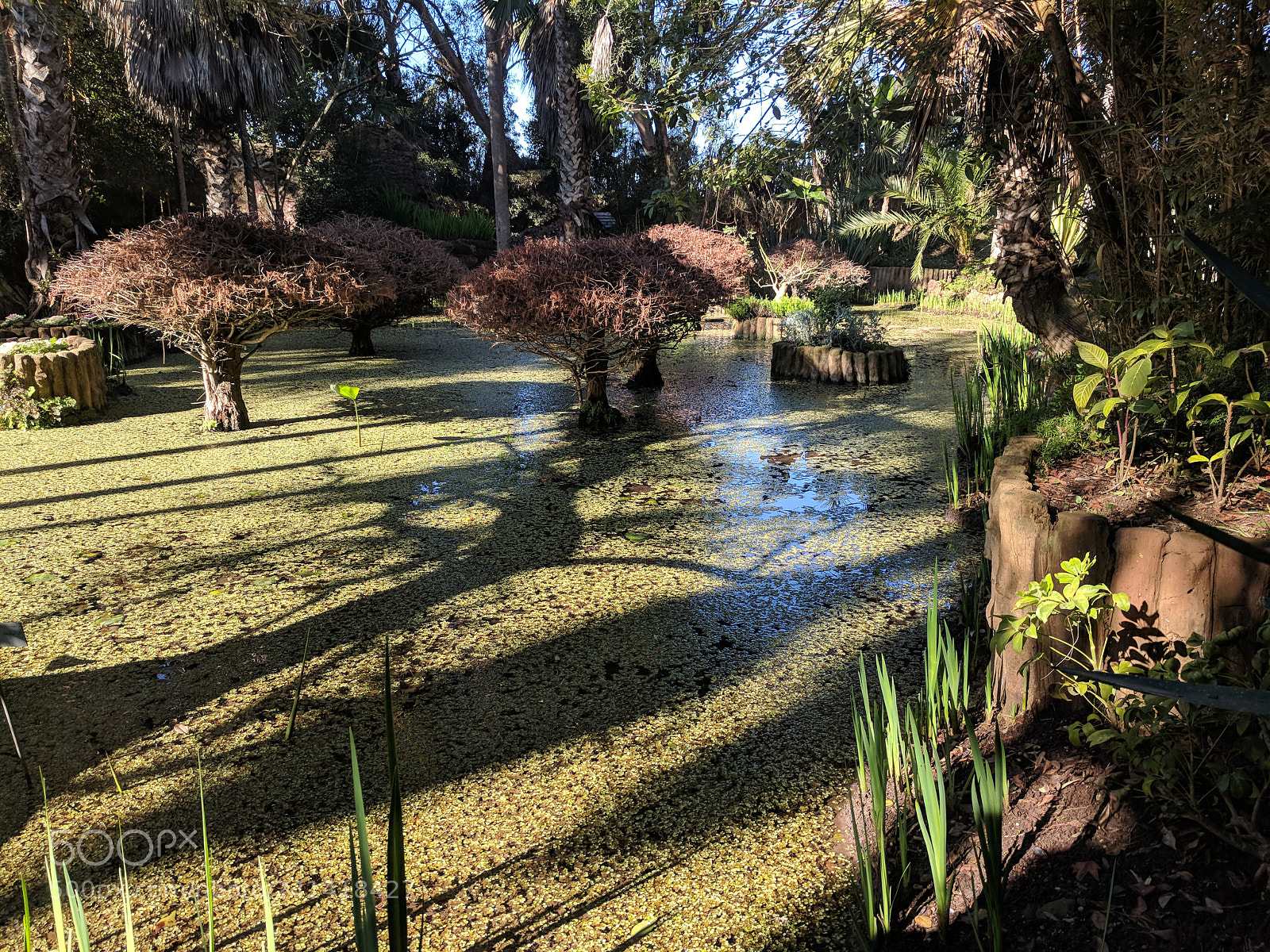 Google Pixel sample photo. Untitled photography