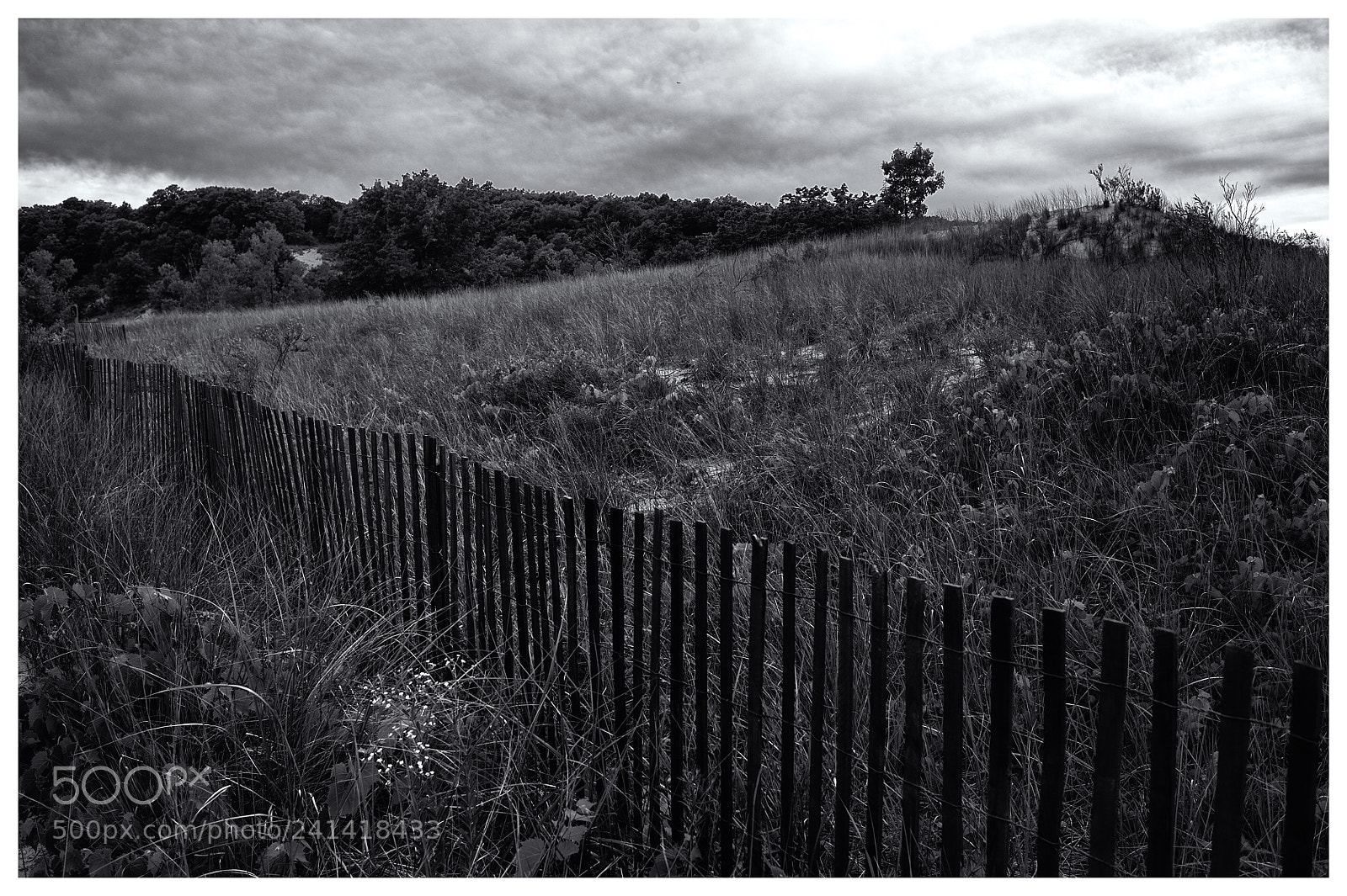 Nikon D700 sample photo. Nature's pride photography
