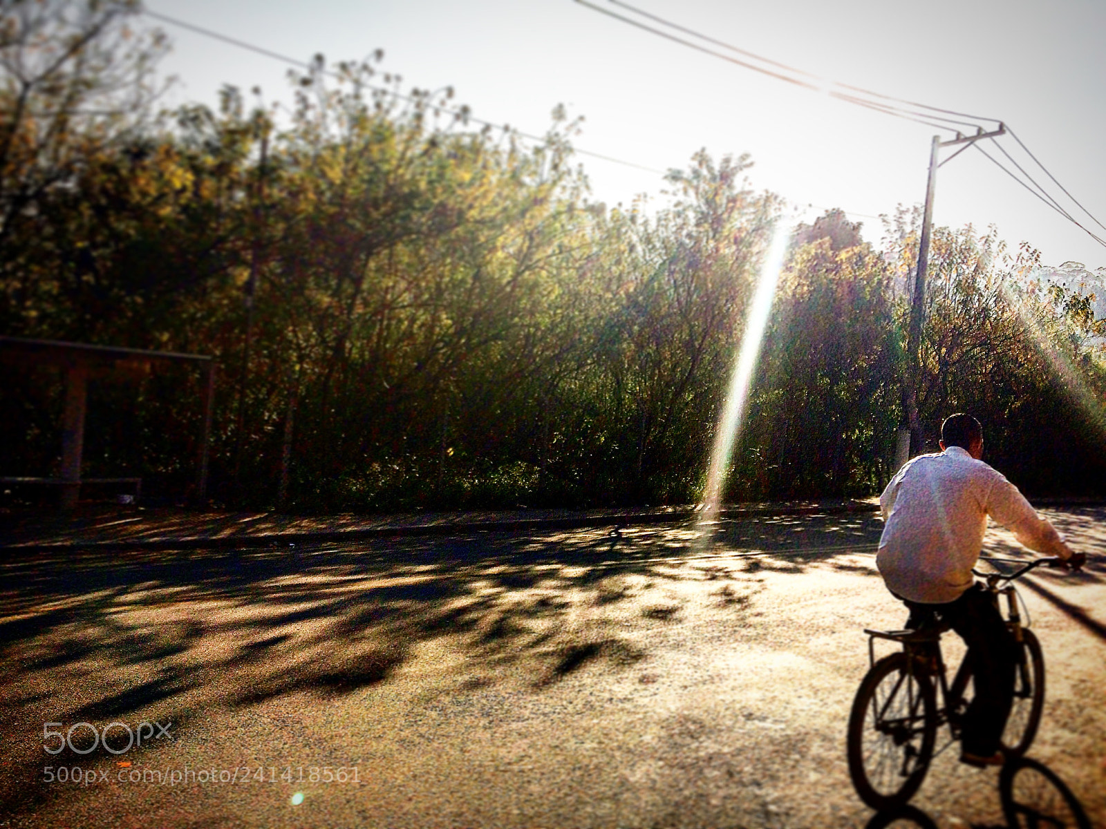 Apple iPhone 5s sample photo. Untitled photography