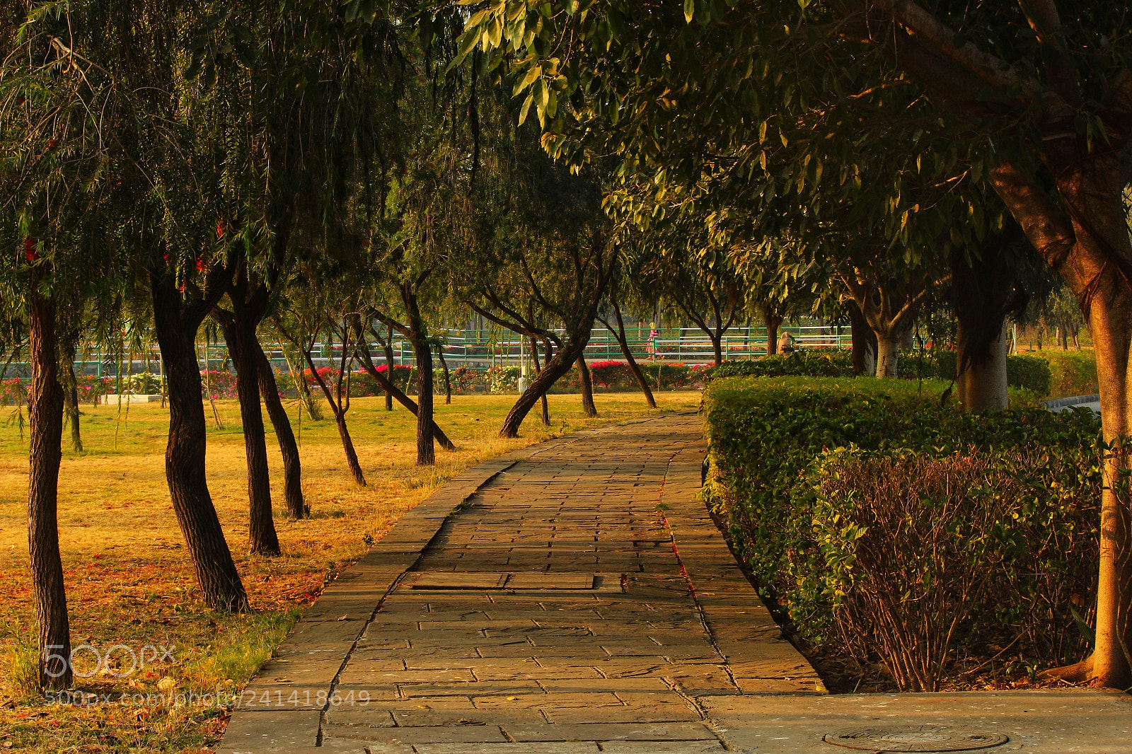 Canon EOS 1200D (EOS Rebel T5 / EOS Kiss X70 / EOS Hi) sample photo. "come,walk with me" photography