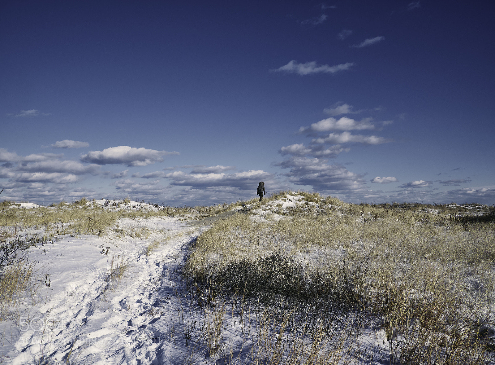 Panasonic Lumix DMC-G85 (Lumix DMC-G80) sample photo. Winter dunes 1 photography