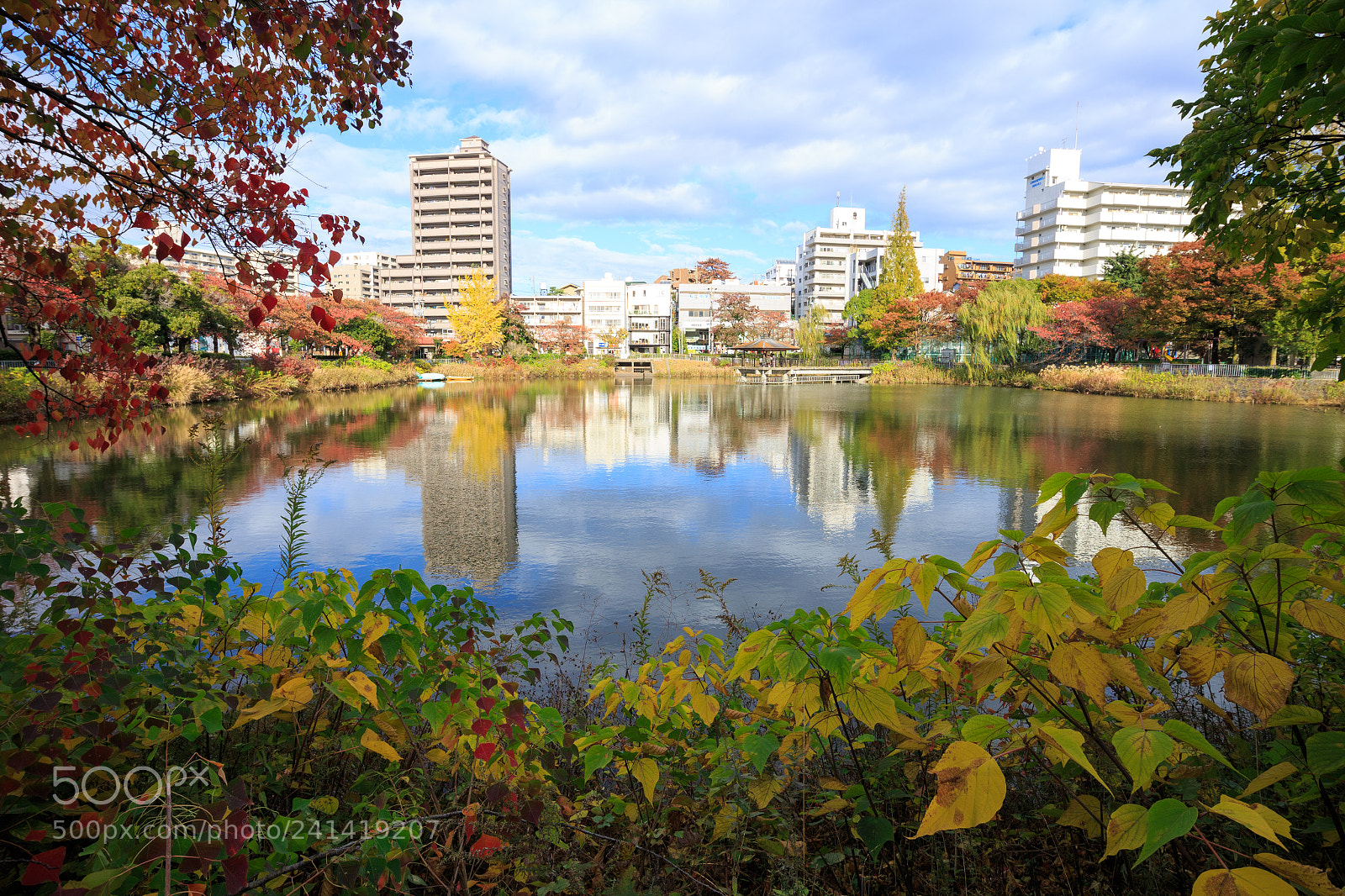 Canon EOS M sample photo. I came across autumn photography