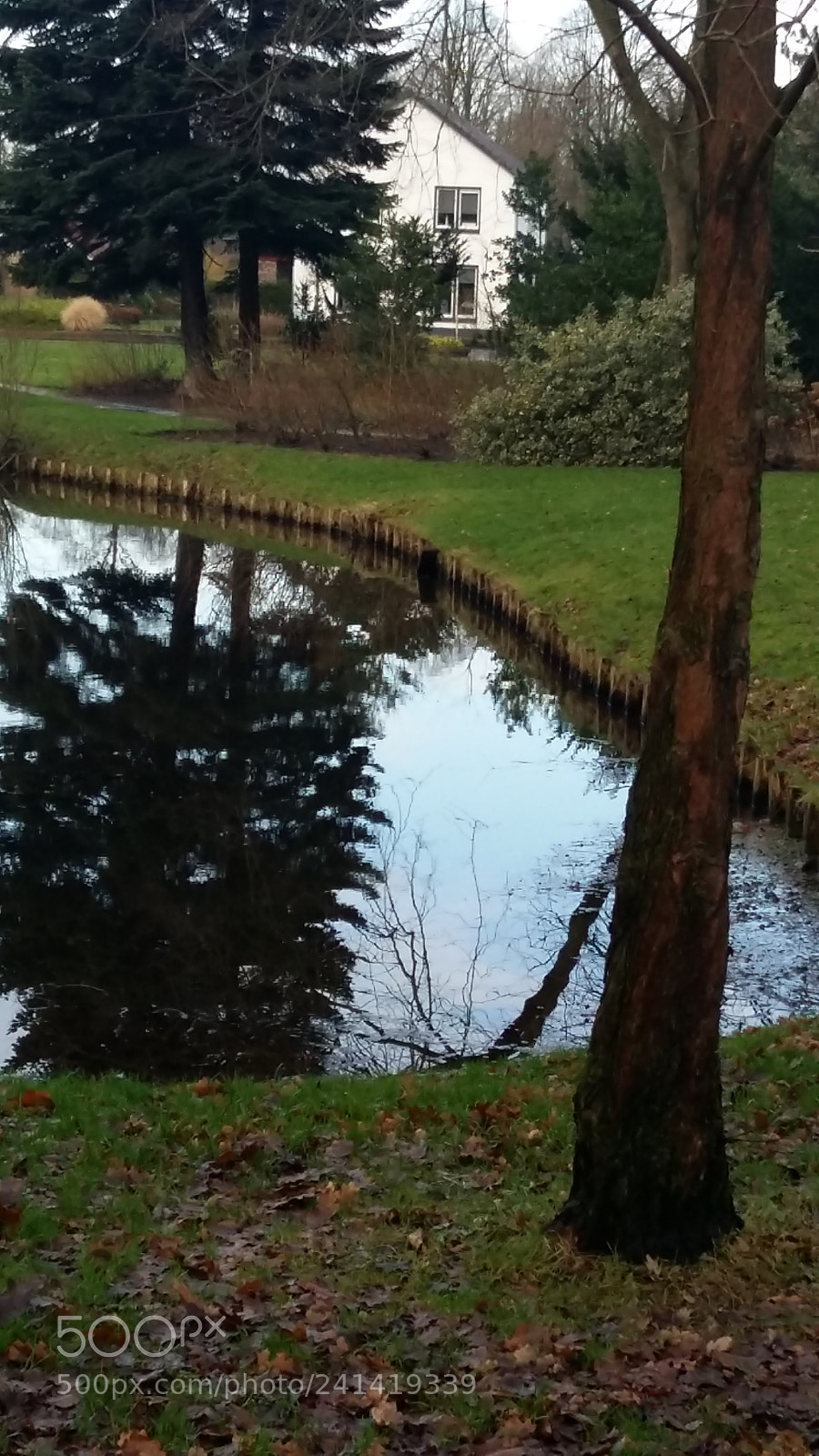 Samsung Galaxy A5 sample photo. White water wood friesland photography