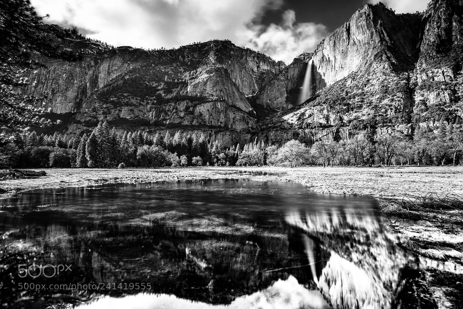 Nikon D810 sample photo. Reflections photography