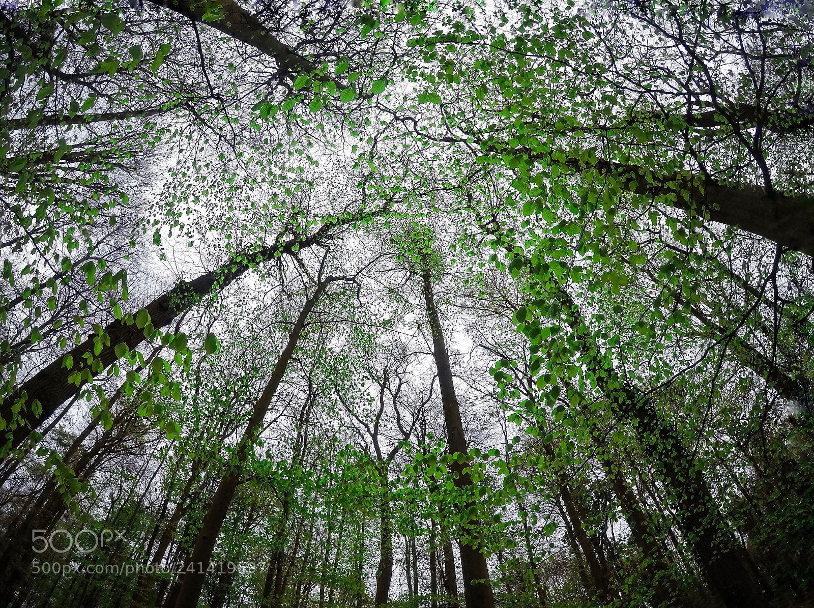 GoPro Hero5 Black sample photo. Bristol - leigh woods photography