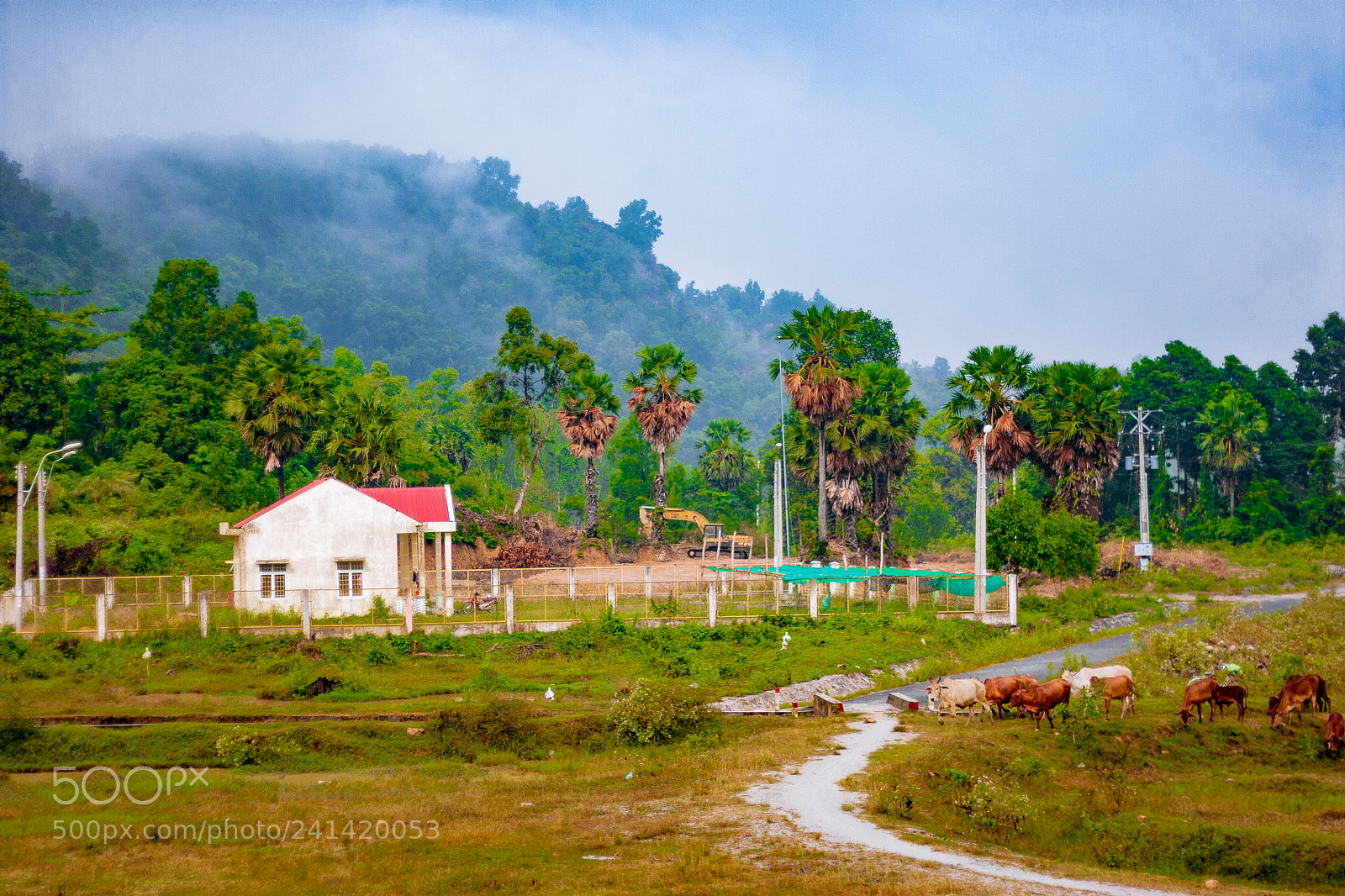 Canon EOS 20D sample photo. Landscapes photography