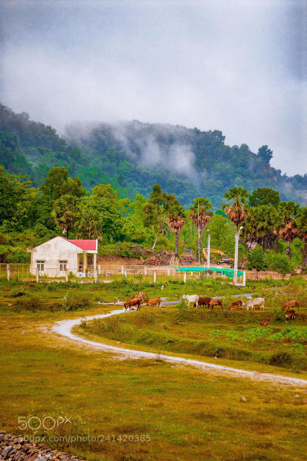 Canon EOS 20D sample photo. Landscapes photography
