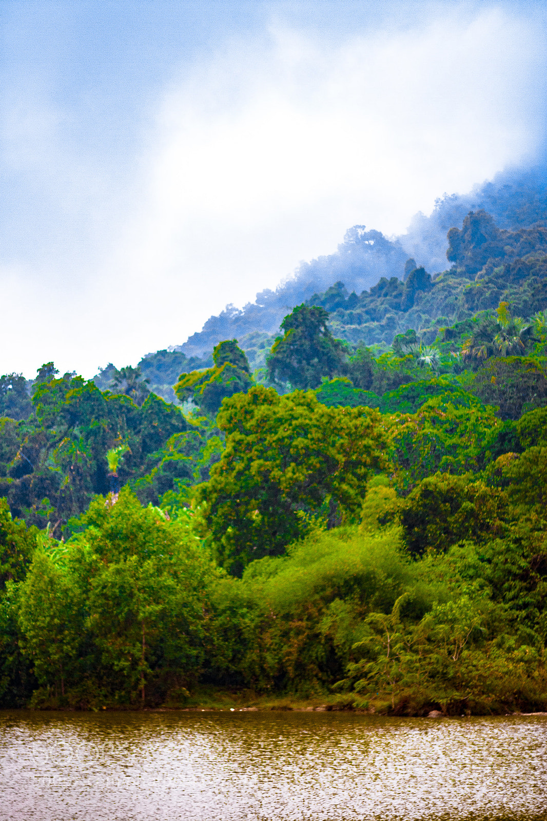 Canon EOS 20D sample photo. Landscapes photography