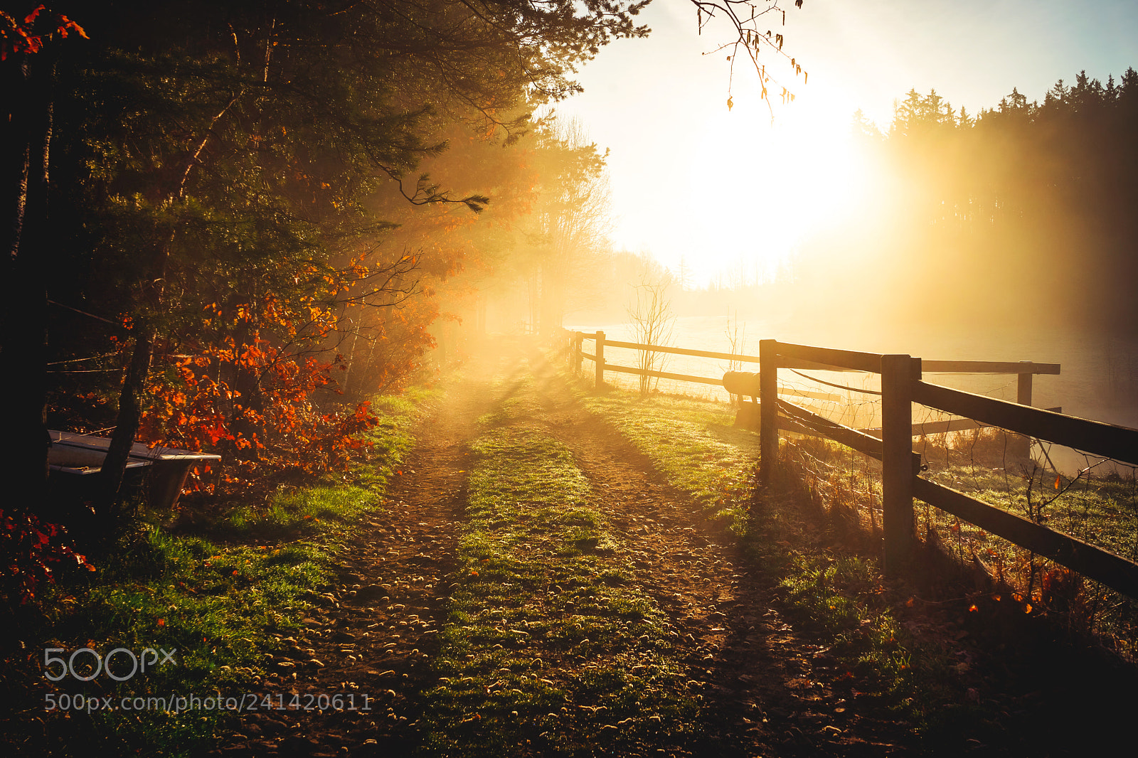 Sony a7 II sample photo. Into the brighter days photography
