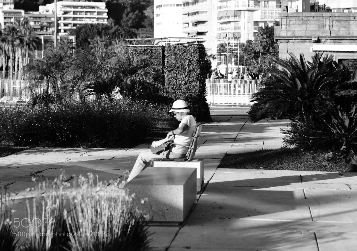 Nikon D7200 sample photo. Relax moment photography