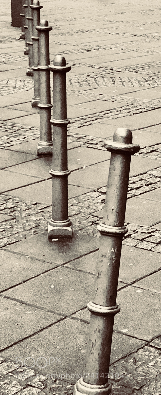 Apple iPhone 8 Plus sample photo. Odd one out or photography