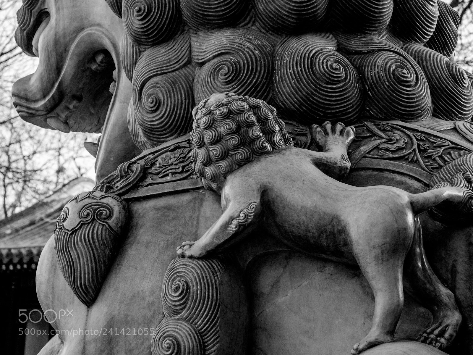 Olympus PEN-F sample photo. Untitled photography