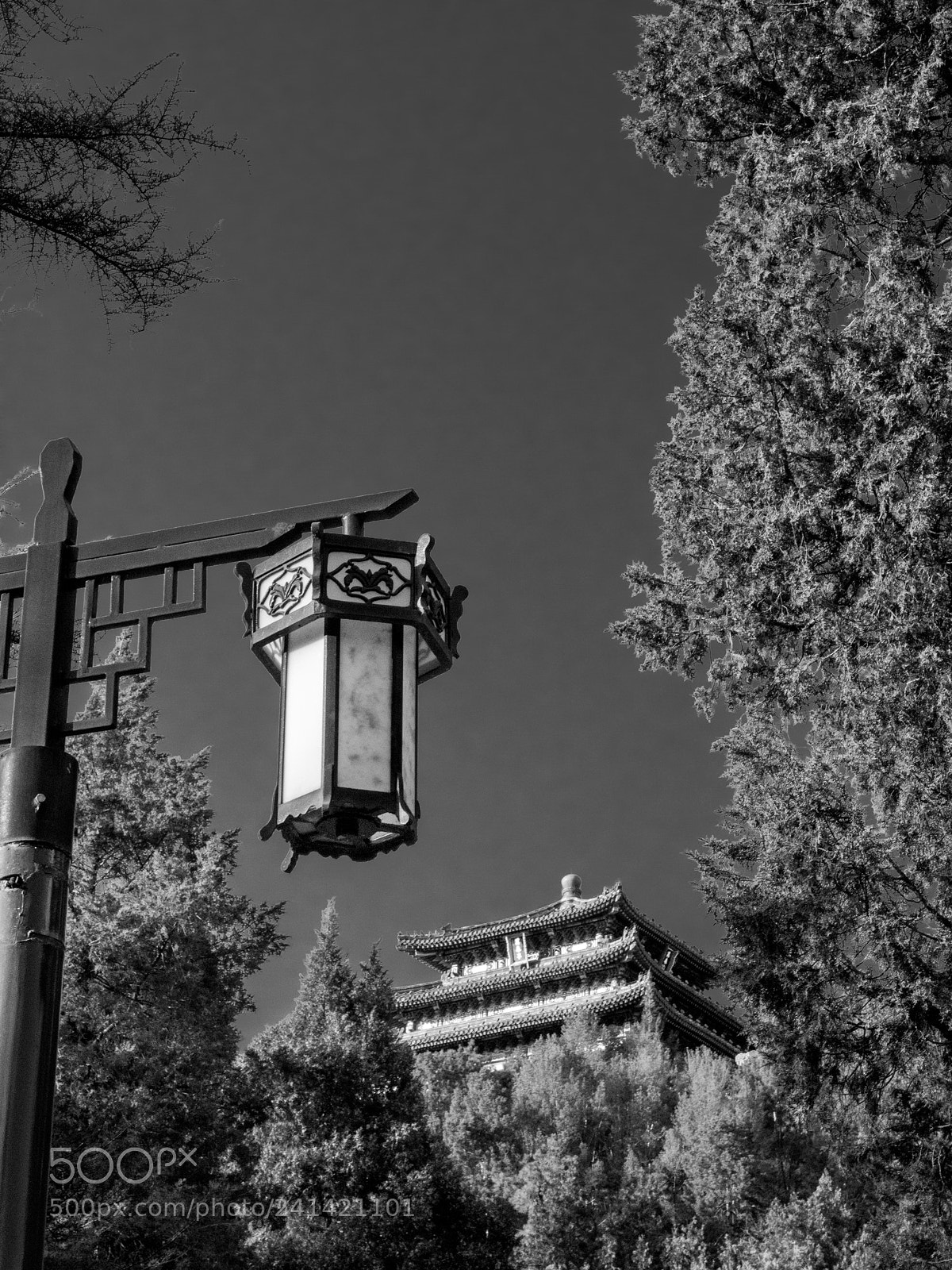 Olympus PEN-F sample photo. Untitled photography