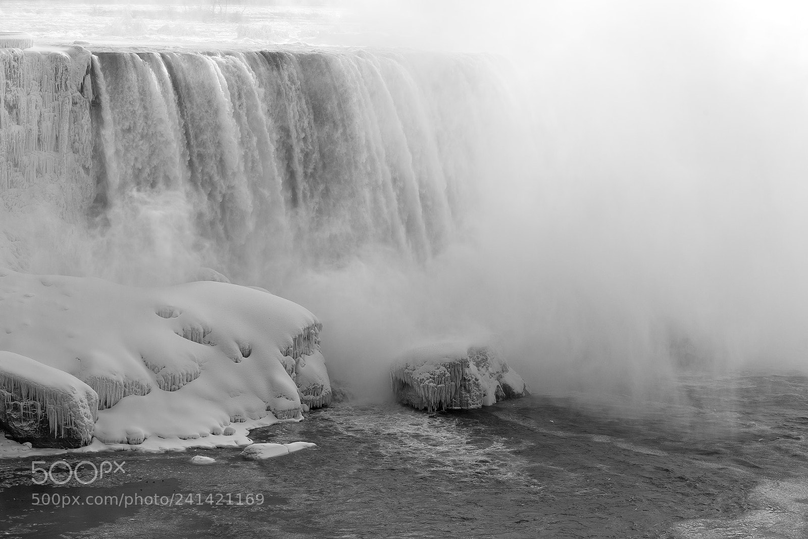 Nikon D800 sample photo. Hibernal photography