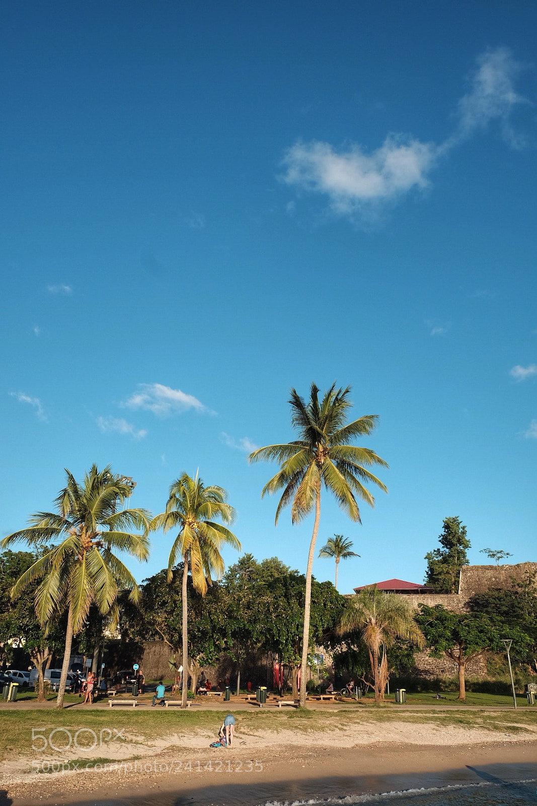 Fujifilm X-T10 sample photo. Martinique,fort de france photography