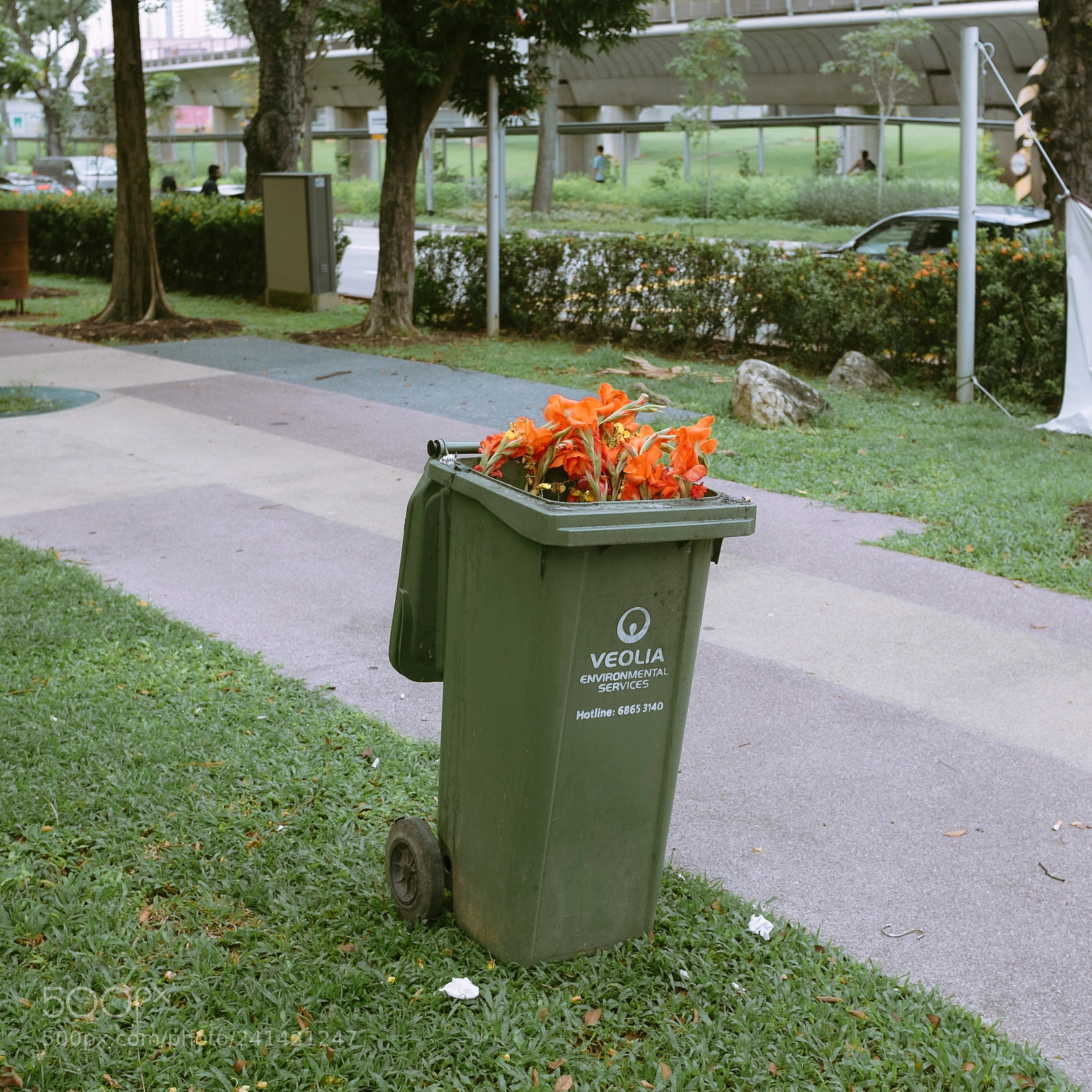 Fujifilm X100T sample photo. Untitled photography