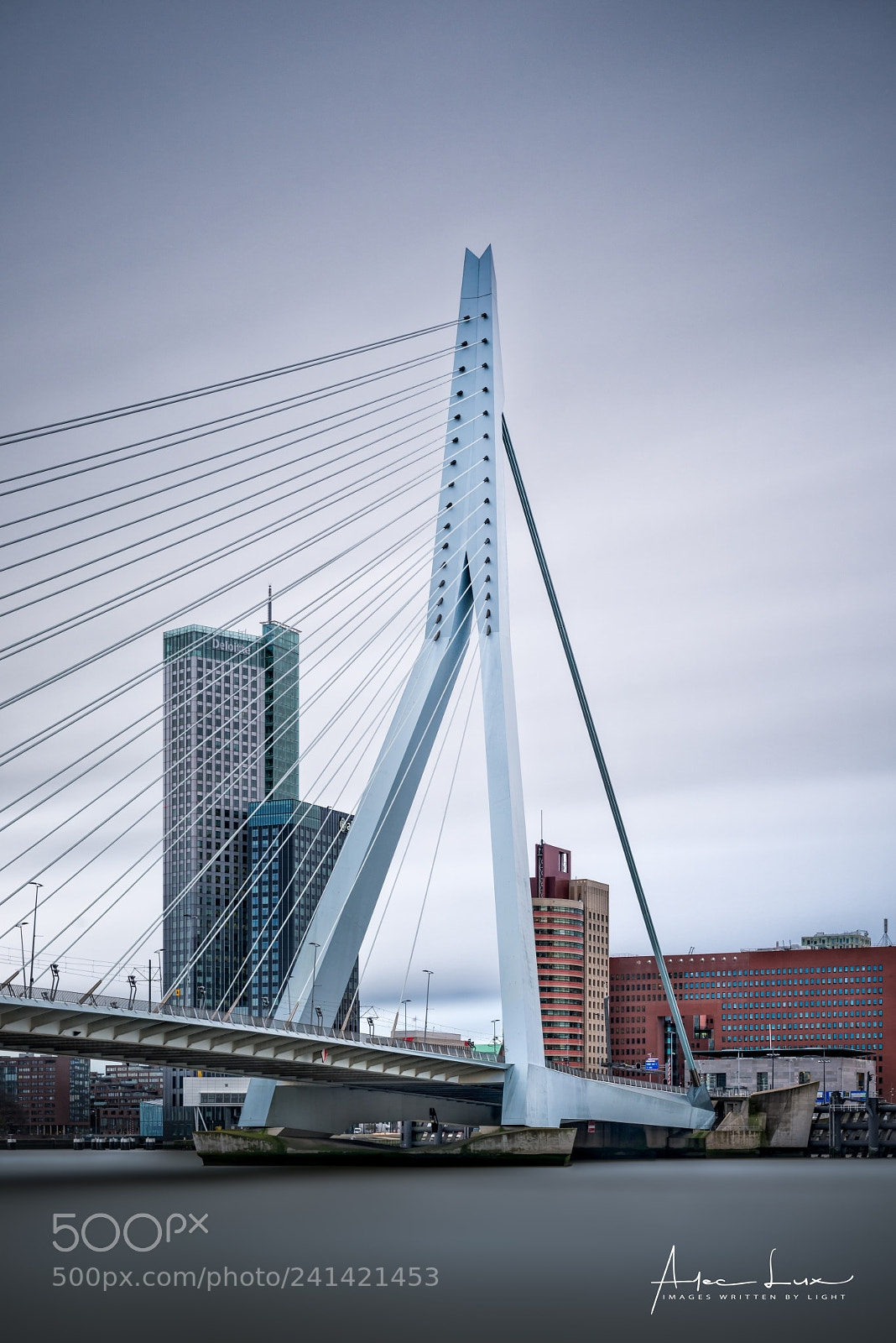Nikon D800 sample photo. View on rotterdam v photography