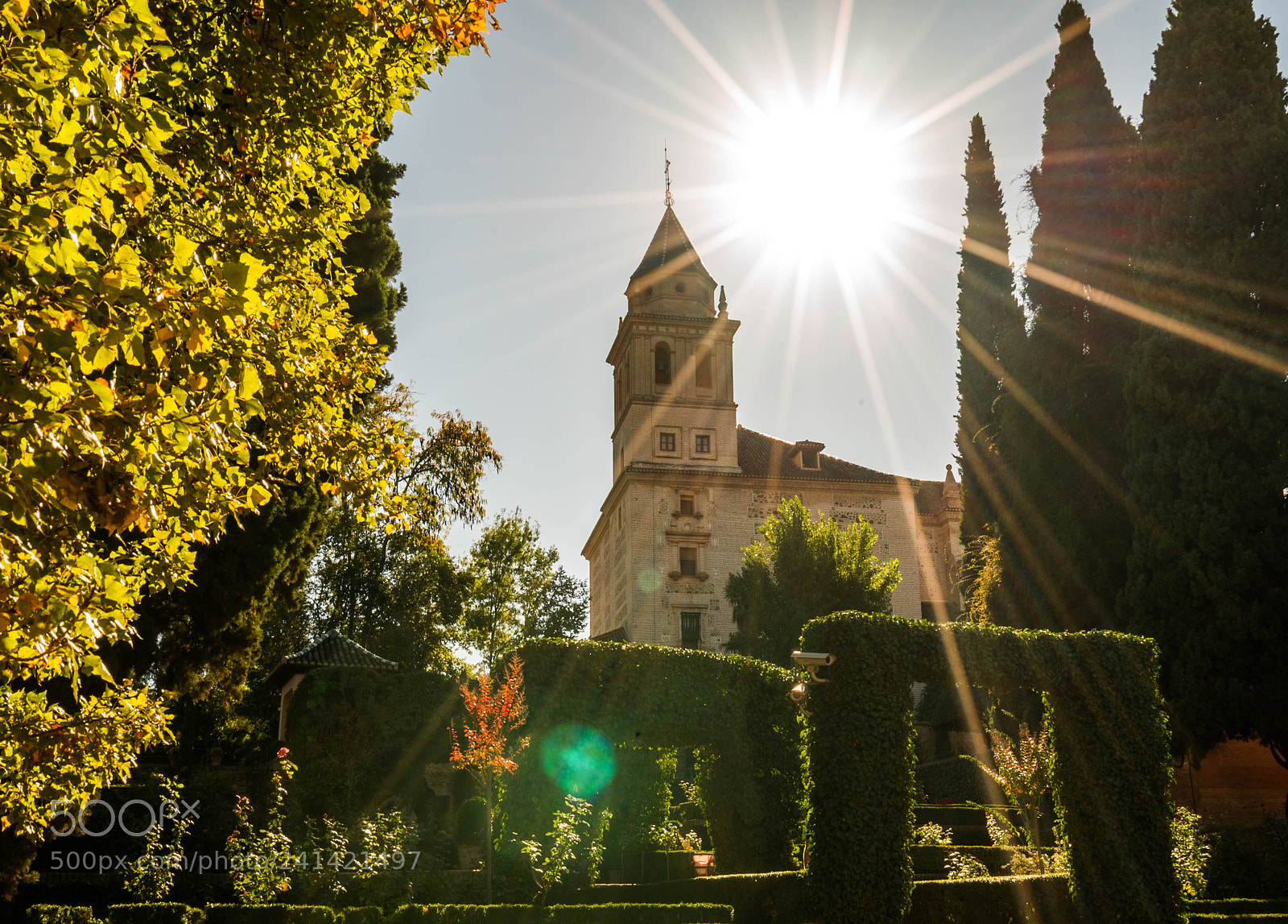 Sony a7S II sample photo. Allhumbra sun photography