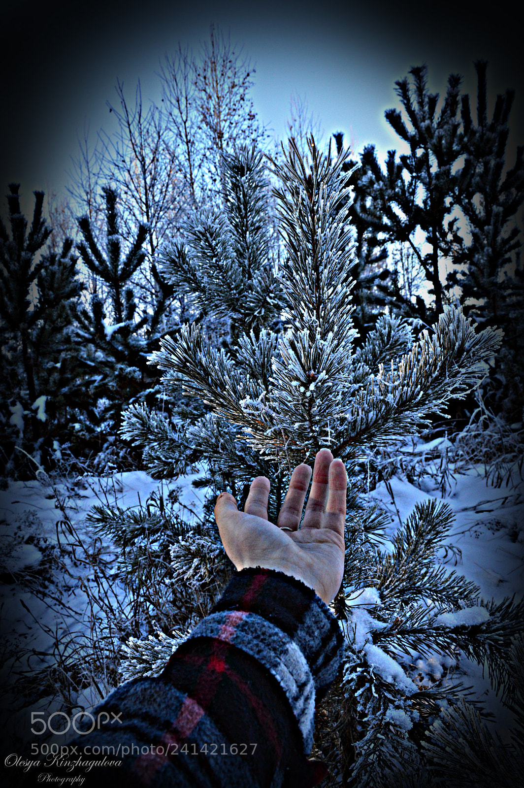 Nikon D3200 sample photo. Untitled photography