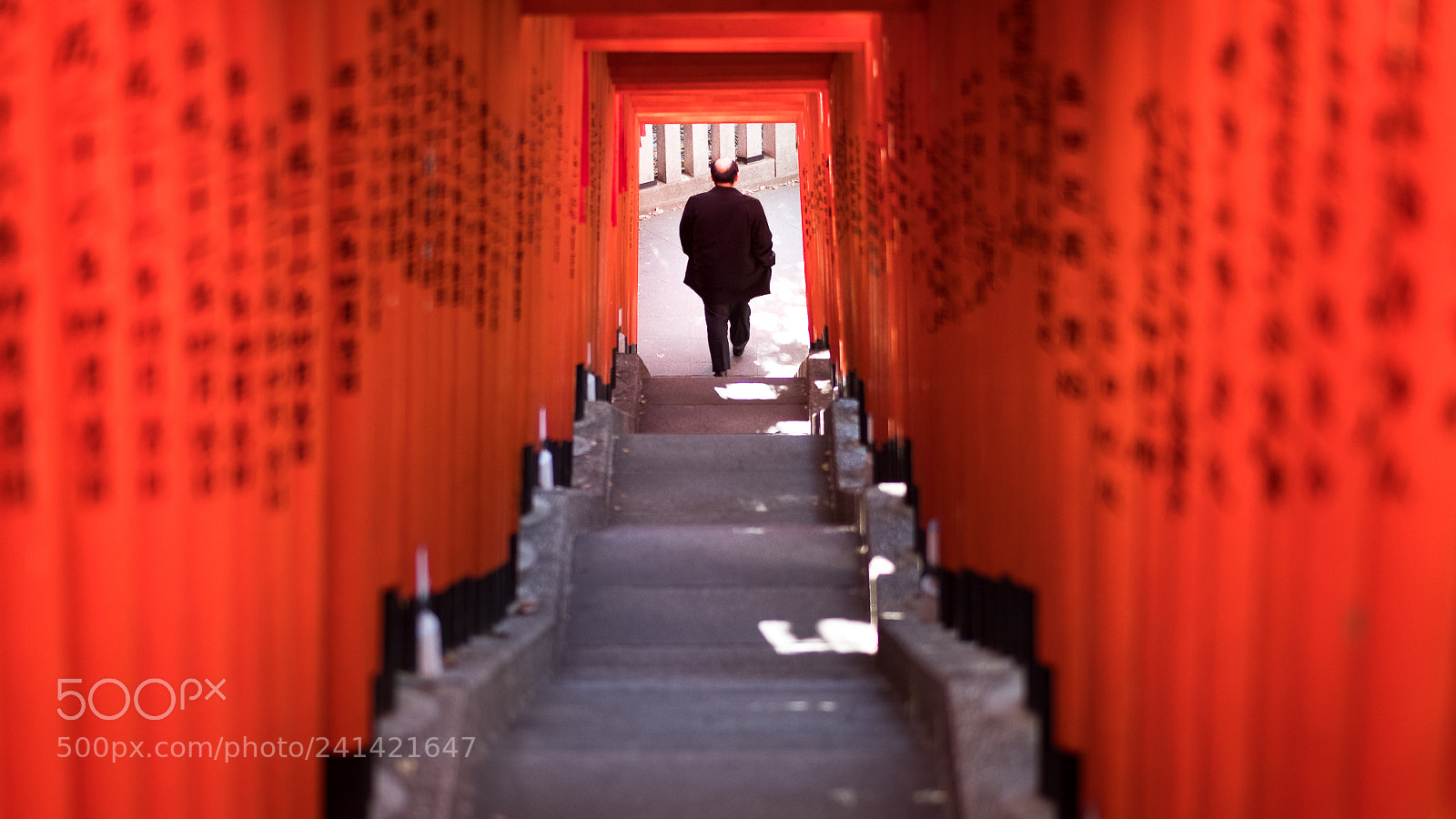 Fujifilm X-Pro2 sample photo. The torii tunnel photography